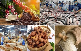 Trade in agro-forestry-aquatic products reaches US$59.69 billion in 8 months