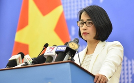 China requested to respect Viet Nam's sovereignty over Hoang Sa
