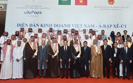 Deputy PM attends Viet Nam-Saudi Arabia Business Forum