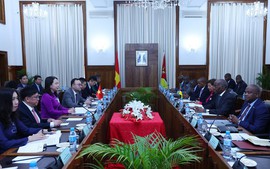 Vice President holds talks with Mozambican Prime Minister