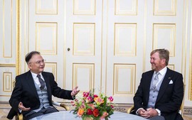 King Willem-Alexander expects to foster Viet Nam-Netherlands relations