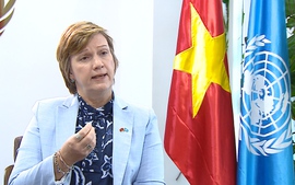 Viet Nam applauded for unwavering commitment to sustainable development: UN
