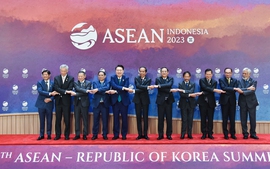 Prime Minister attends ASEAN-RoK summit