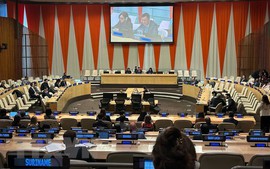Viet Nam completes term as Vice President of UN General Assembly's 77th session