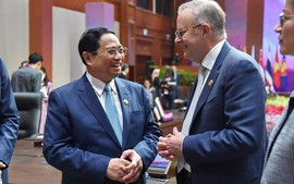 Australia expects to lift up ties with Viet Nam to comprehensive strategic partnership