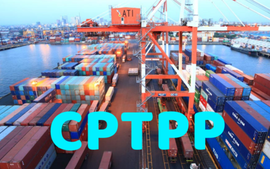 Three more CPTPP nations enjoy preferential import and export tariffs