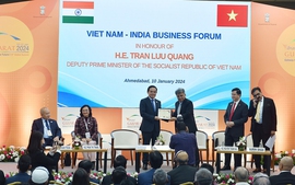 Deputy PM addresses Viet Nam-India Business Forum
