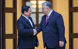 Vietnamese Prime Minister holds talks with Hungarian counterpart