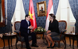 Hungary considers Viet Nam most crucial partner in Southeast Asia