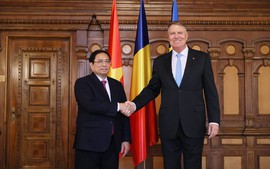 Viet Nam is Romania's most important partner in Southeast Asia