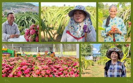 UNDP helps promote sustainable dragon fruit farming in Binh Thuan
