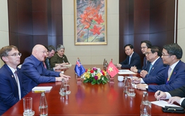 Viet Nam, New Zealand should strive to raise trade to US$3 billion by 2026