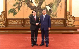 Politburo member Luong Cuong meets top Chinese leader Xi Jinping