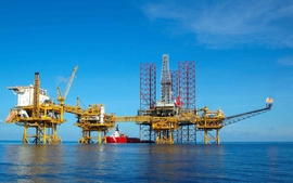 Gov't promulgates new Decree on overseas investment in oil and gas sector