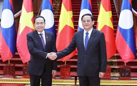 Top Vietnamese legislator meets Lao Prime Minister in Vientiane