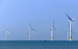 Gov't calls for consolidating legal framework for offshore wind power projects