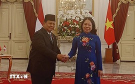 Vice President meets top Indonesian leader