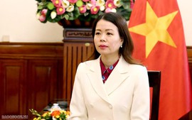 Deputy FM highlights significance of Viet Nam’s engagement in BRICS Plus Summit