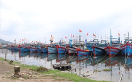 Viet Nam braces for Typhoon TRAMI