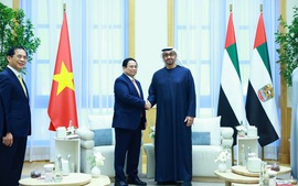 Joint Statement on upgrade of Viet Nam-UAE relations to Comprehensive Partnership