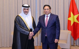 Prime Minister calls on Qatar Investment Authority to increase investments in Viet Nam