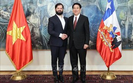 Vietnamese, Chilean Presidents hold talks