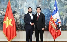 Full Viet Nam-Chile Joint Statement