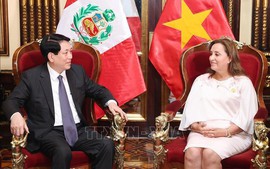 Vietnamese, Peruvian Presidents hold talks in Lima