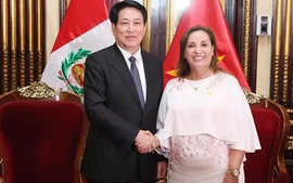 Viet Nam, Peru issue Joint Declaration