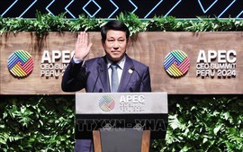 Full remarks by President Luong Cuong at APEC CEO Summit 2024