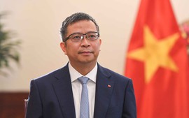 Viet Nam is proactive in taking on global responsibilities: Deputy FM