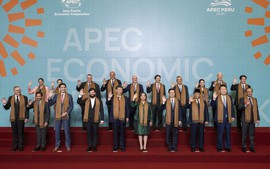 Full remarks by President Luong Cuong at 31st APEC  Economic Leaders' Summit