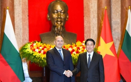 Vietnamese, Bulgarian Presidents hold talks in Ha Noi