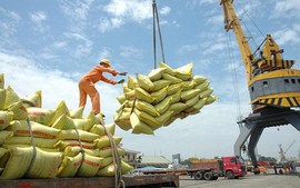 Rice export turnover sets new record high