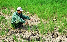 Climate change impact in rural Viet Nam - science must lead change