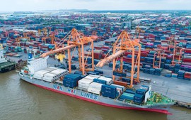 Viet Nam grows stronger after 18-year of joining WTO