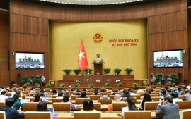 Vietnamese economy bounces back positively: Lawmakers