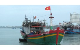 Viet Nam braces for typhoon Yinxing