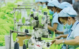 ADB upgrades Viet Nam’s growth forecasts