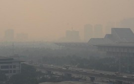 Ha Noi to set up low emission zones to improve air quality