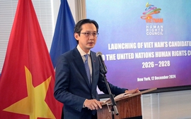 Viet Nam announces bid for candidacy of UN Human Rights Council in 2026-2028 term