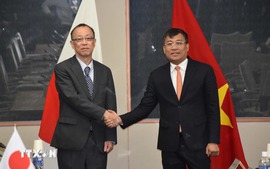 Viet Nam, Japan hold 8th Strategic Partnership Dialogue in Tokyo