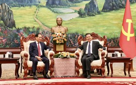 Deputy Prime Minister pays courtesy calls on top Lao leaders