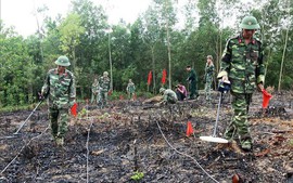 Japan provides mine detection equipment worth ¥500 million for Viet Nam