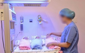 Viet Nam's birth rate drops to record low