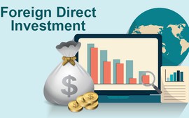 Eleven-month FDI inflows near US$31.4 bln