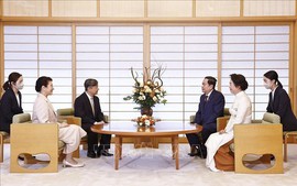 Top legislator meets Japanese Emperor