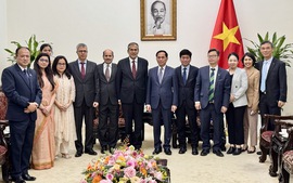 Deputy PM Bui Thanh Son receives Indian Deputy National Security Advisor Pavan Kapoor