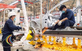 Industrial production expands 8.4 percent in January-November