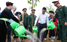 President launches 2024 tree planting festival
